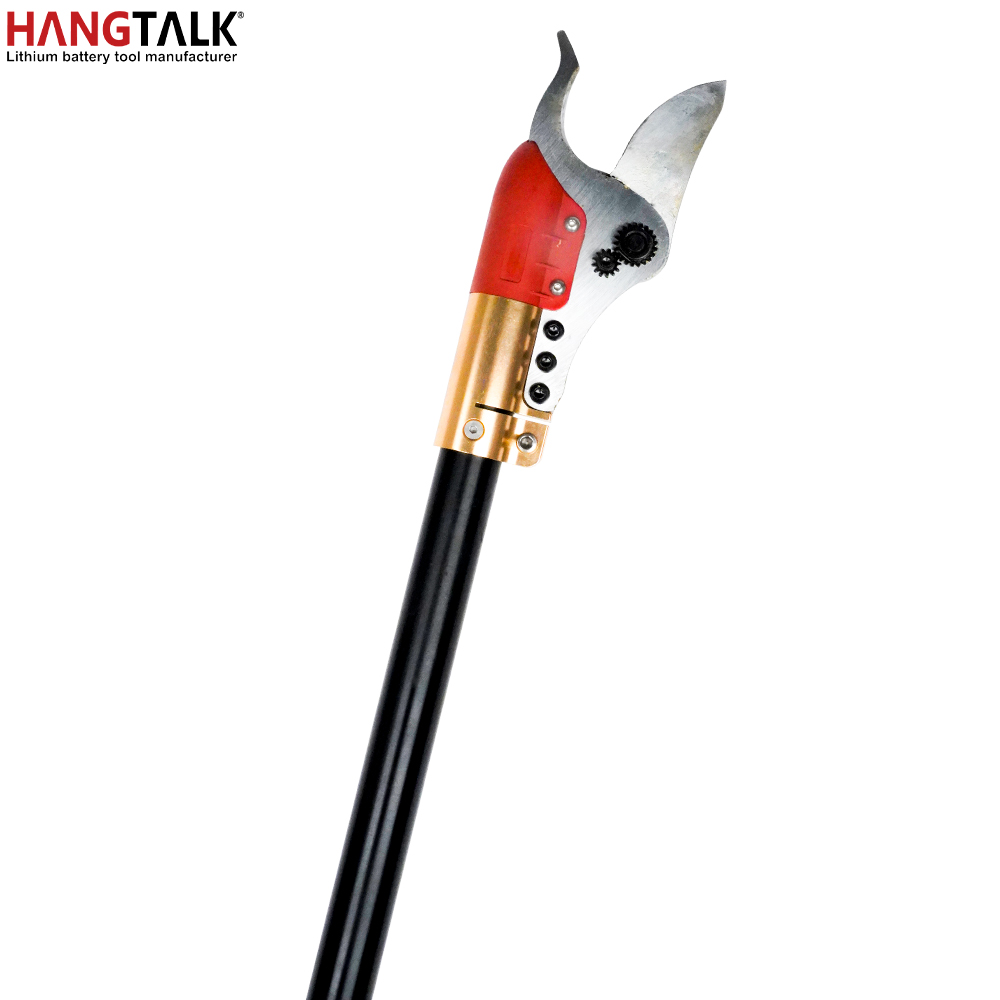 Electric Pruner With Extension Pole - Profesjonalne akumulatorowe nożyce do gałęzi HANGTALK