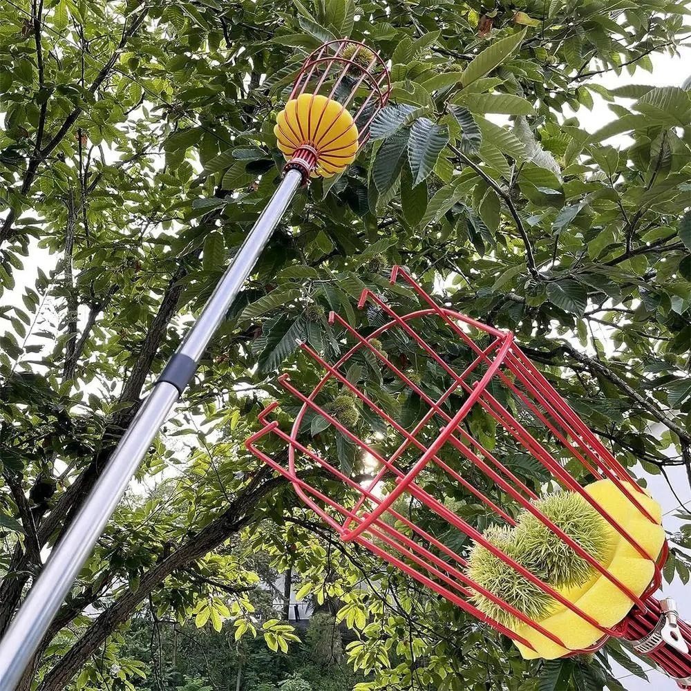 Fruit Picker Basket Telescopic Pole - Kosz do zbierania owoców z teleskopową