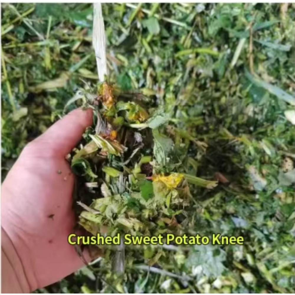 Wysokowydajna, mobilna, profes – Garden Branch Shredder Wood Chipper recenzja i cena
