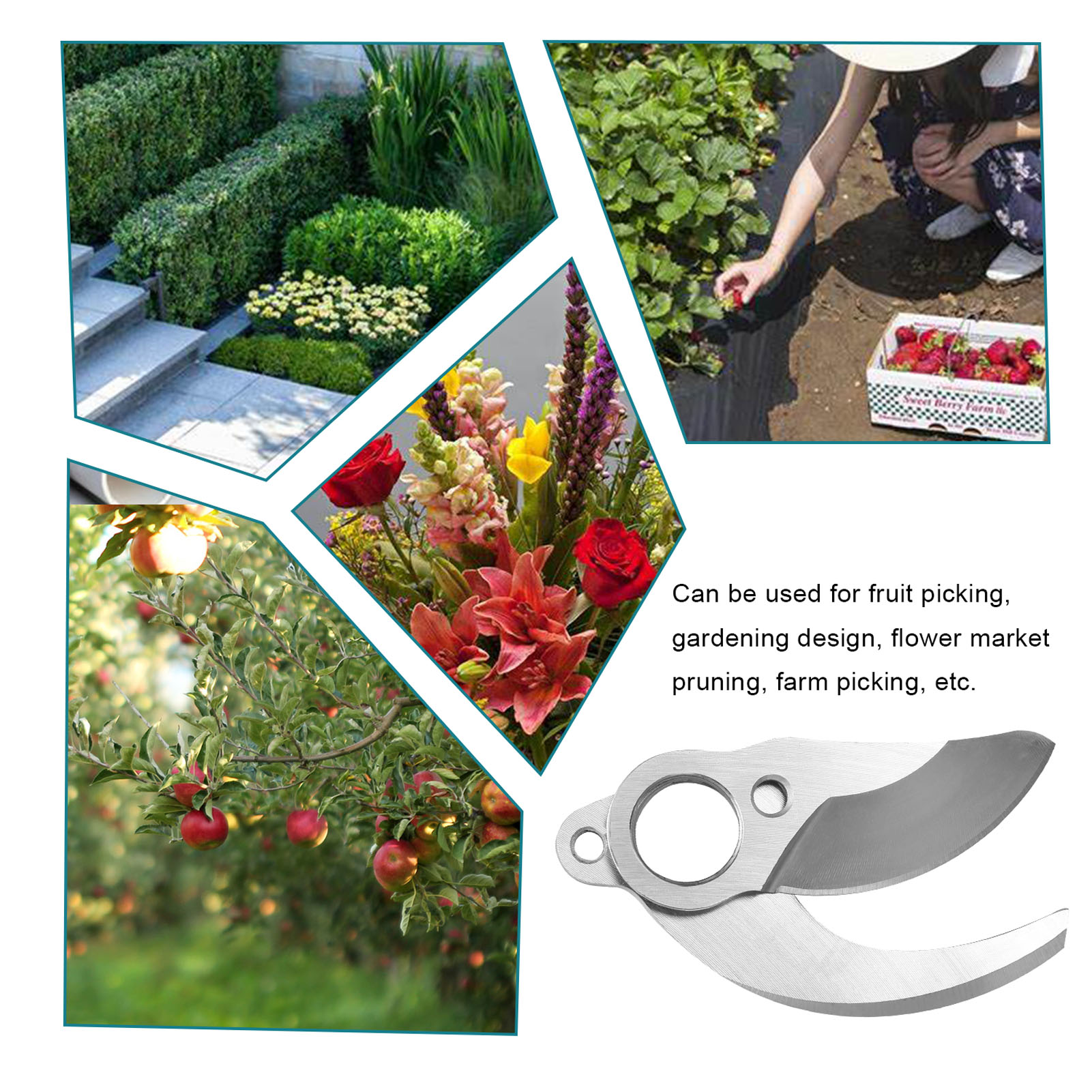 Ostrza do elektrycznych sekato – Cordless Electric Pruning Shears 30Mm recenzja i cena