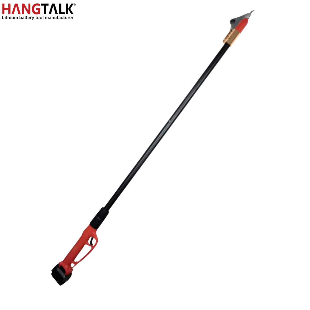 Profesjonalne akumulatorowe no – Electric Pruner With Extension Pole recenzja i cena