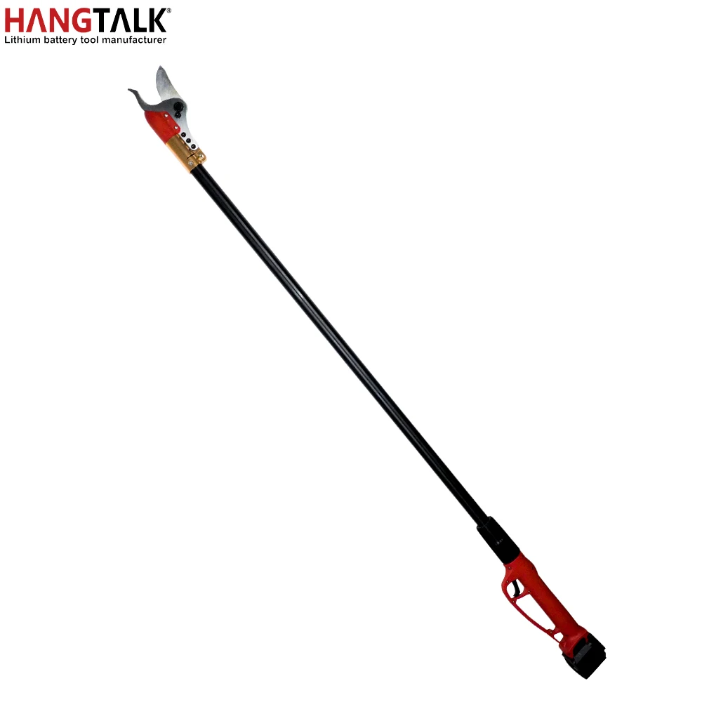 Profesjonalne akumulatorowe no – Electric Pruner With Extension Pole recenzja i cena