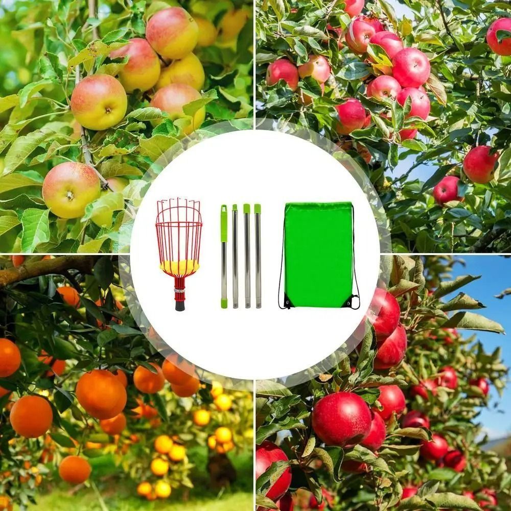 Kosz do zbierania owoców z drz – Fruit Picker Basket Telescopic Pole recenzja i cena