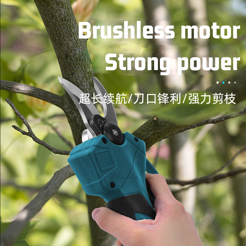FORGEKIN Bezszczotkowa Elektry – Electric Pruner With Extension Pole recenzja i cena
