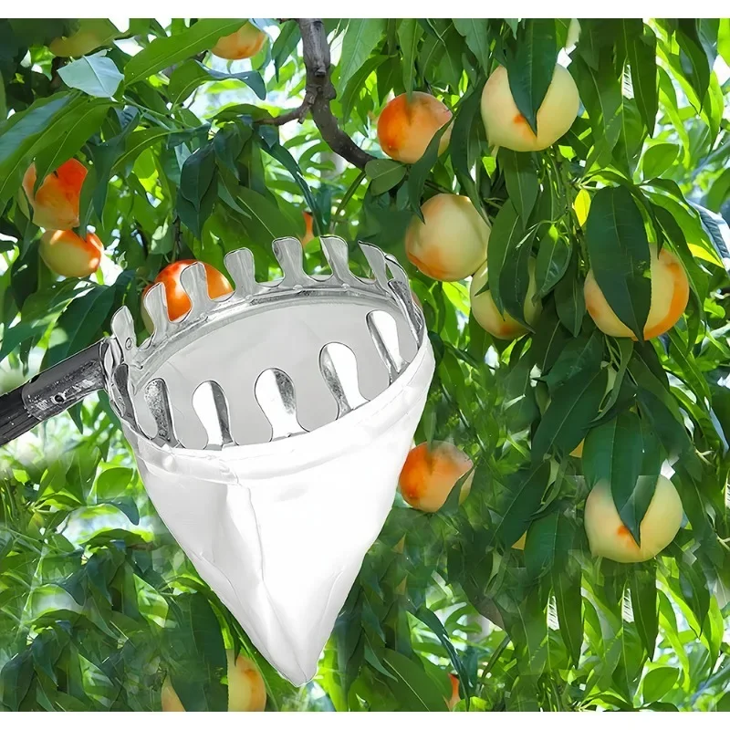 Zbieracz owoców na dużą wysoko – Fruit Picker Basket Telescopic Pole recenzja i cena