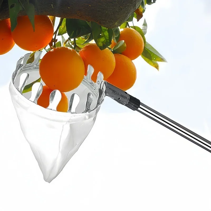 Zbieracz owoców na dużą wysoko – Fruit Picker Basket Telescopic Pole recenzja i cena