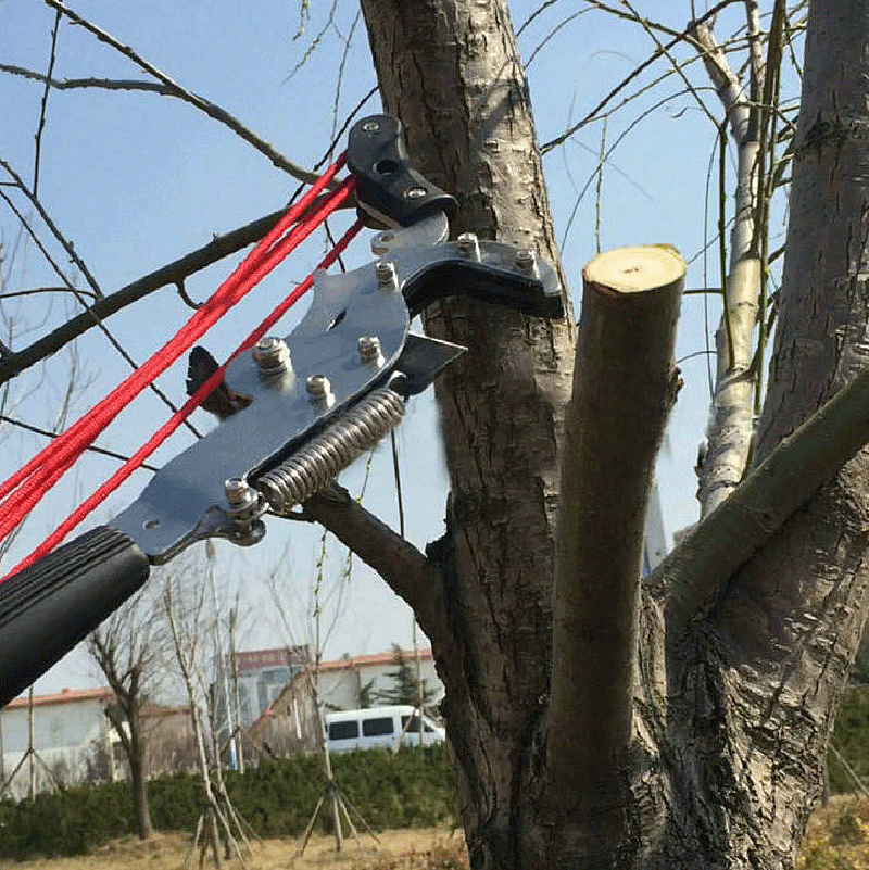 Przycinak teleskopowy Extentoo – Electric Pruner With Extension Pole recenzja i cena