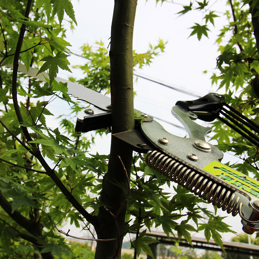 Przycinak teleskopowy Extentoo – Electric Pruner With Extension Pole recenzja i cena
