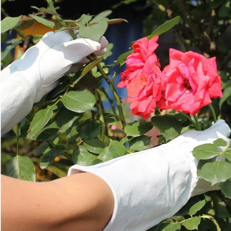 Para rękawic ogrodowych odporn – Gardening Gloves Thorn Proof Leather recenzja i cena