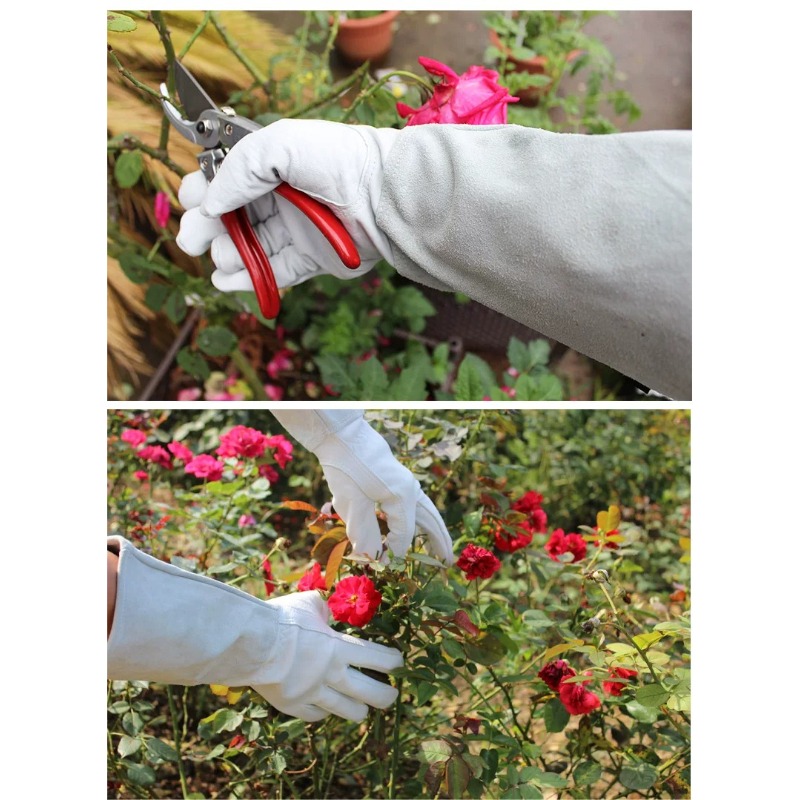 Para rękawic ogrodowych odporn – Gardening Gloves Thorn Proof Leather recenzja i cena
