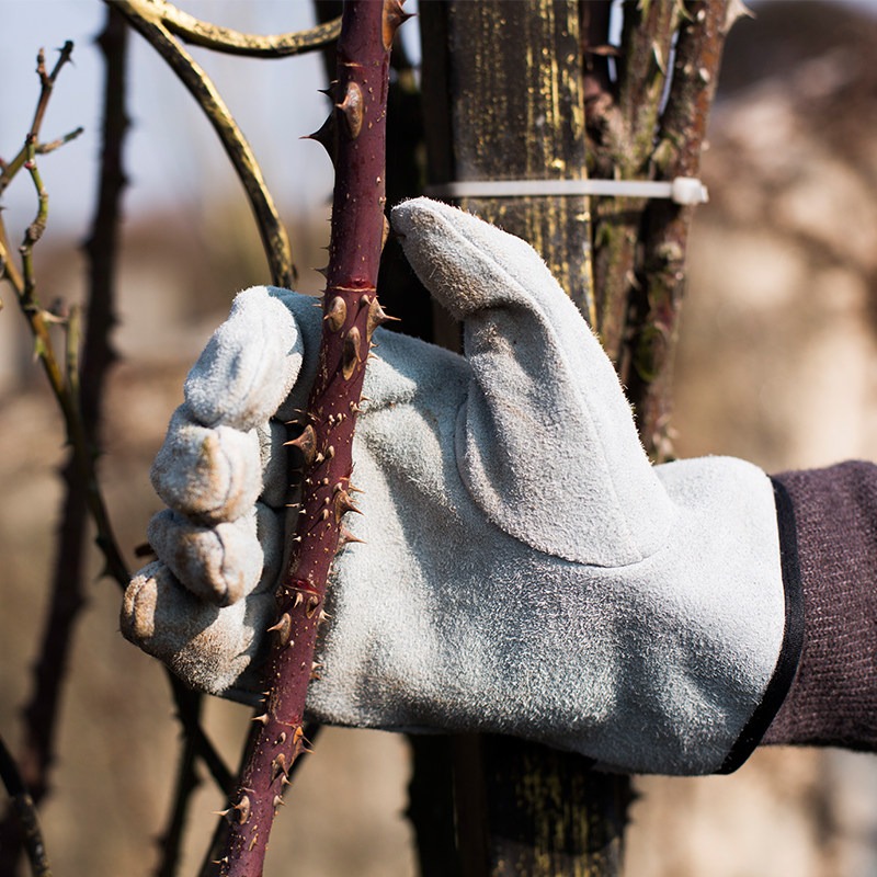 Para rękawic ogrodowych odporn – Gardening Gloves Thorn Proof Leather recenzja i cena