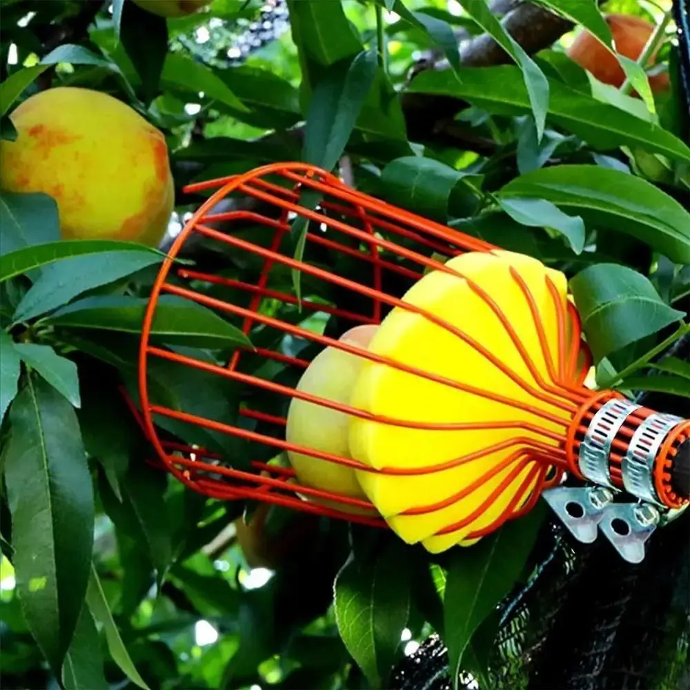 Kosz do zbierania owoców na dr – Fruit Picker Basket Telescopic Pole recenzja i cena