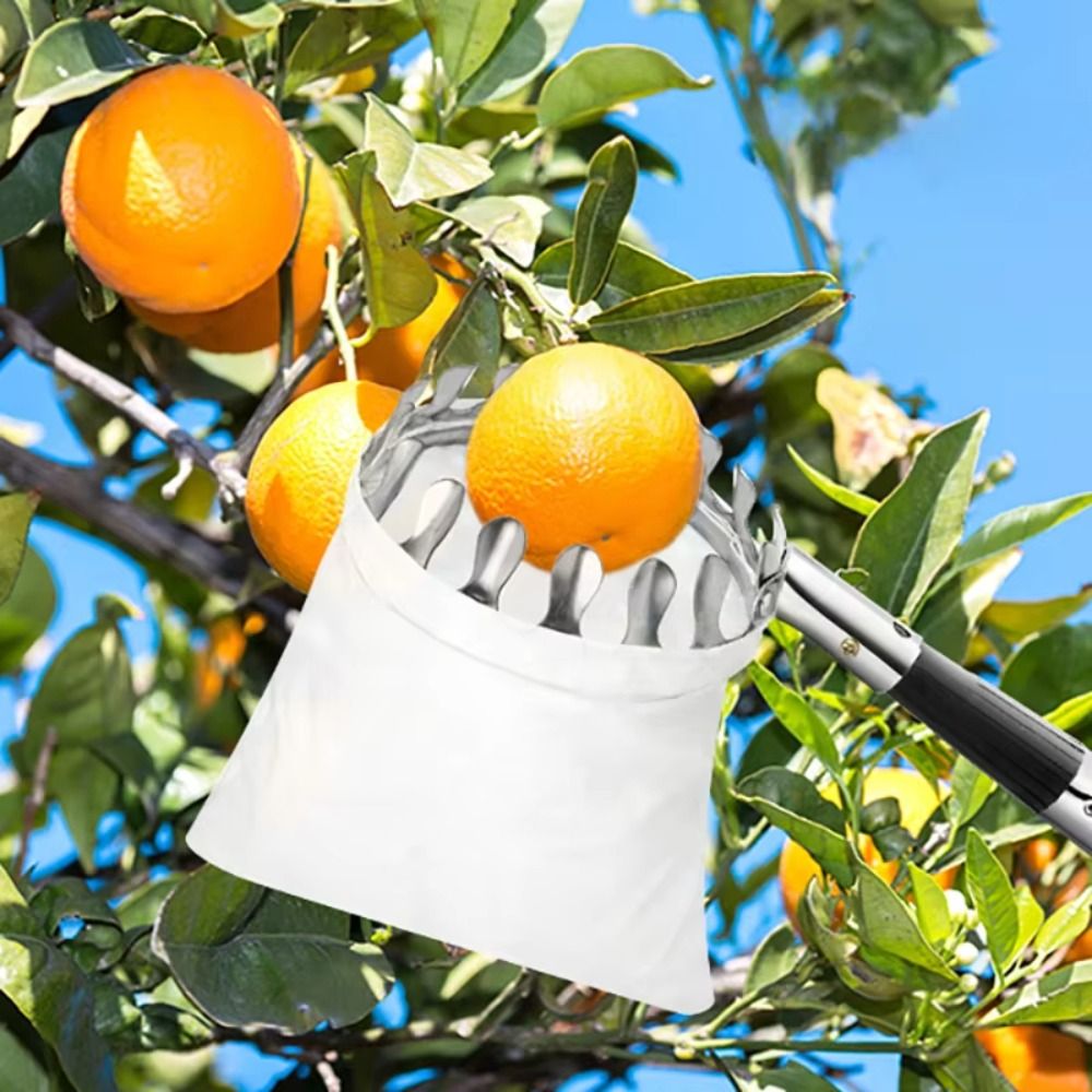 Maszyna do zbierania owoców ze – Fruit Picker Basket Telescopic Pole recenzja i cena
