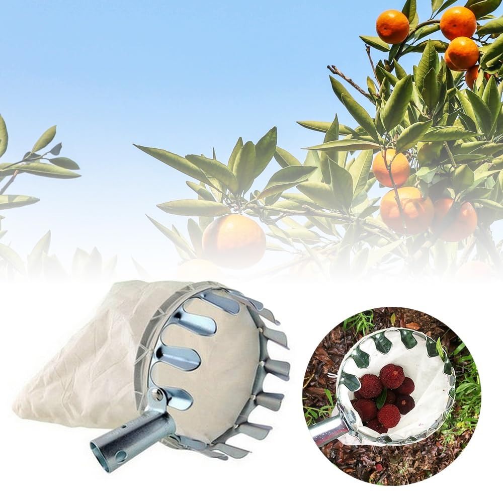 Maszyna do zbierania owoców ze – Fruit Picker Basket Telescopic Pole recenzja i cena