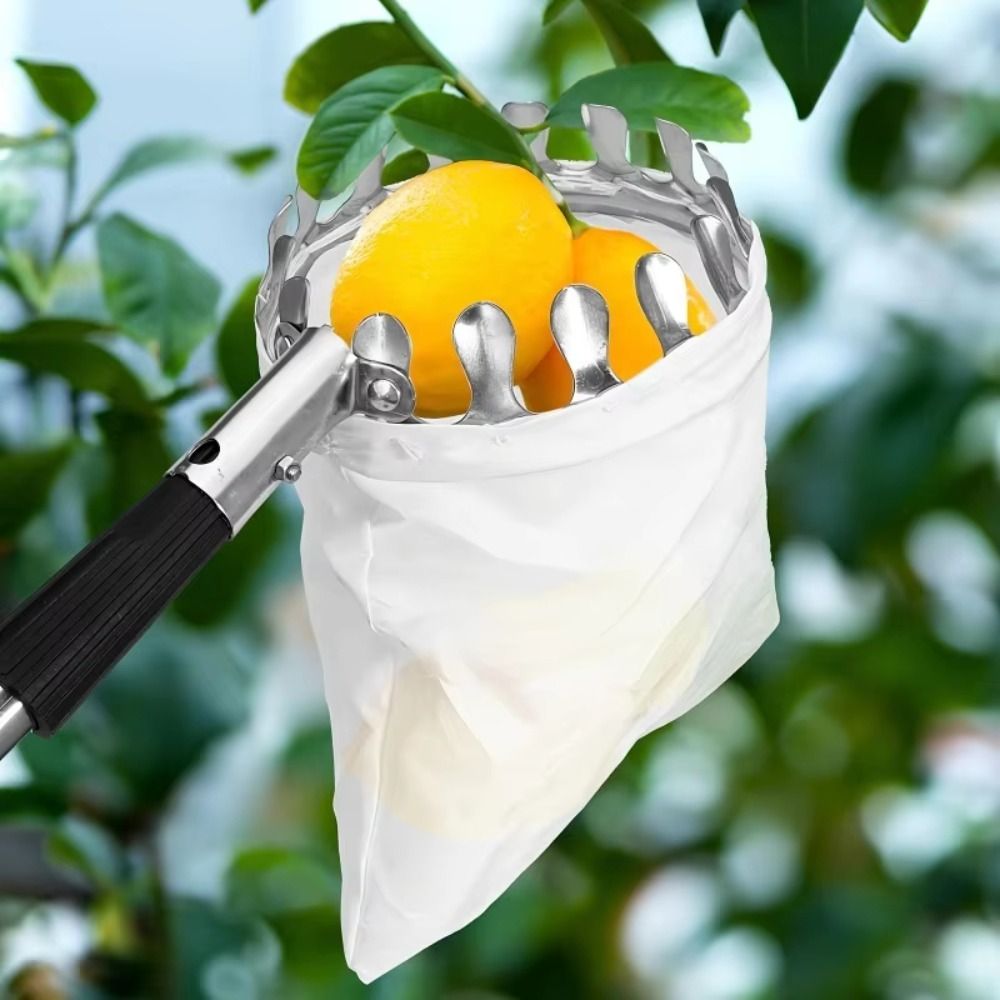 Maszyna do zbierania owoców ze – Fruit Picker Basket Telescopic Pole recenzja i cena
