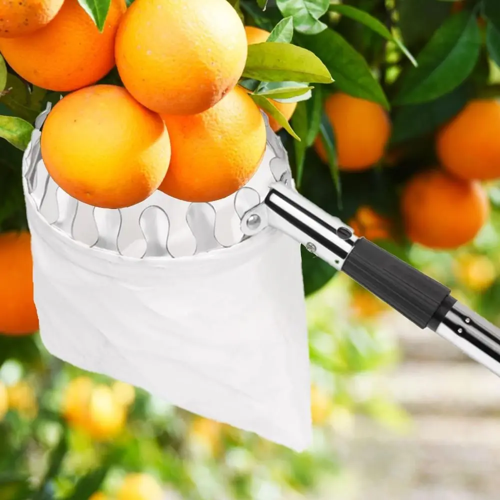 Maszyna do zbierania owoców ze – Fruit Picker Basket Telescopic Pole recenzja i cena