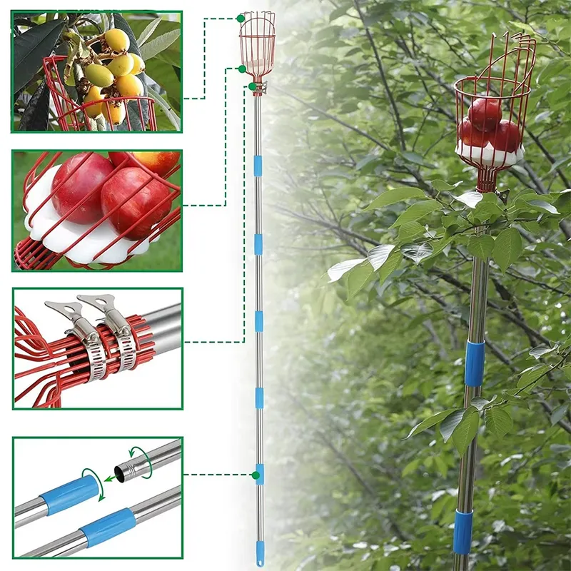 Winslow & Ross Wysokiej jakośc – Fruit Picker Basket Telescopic Pole recenzja i cena