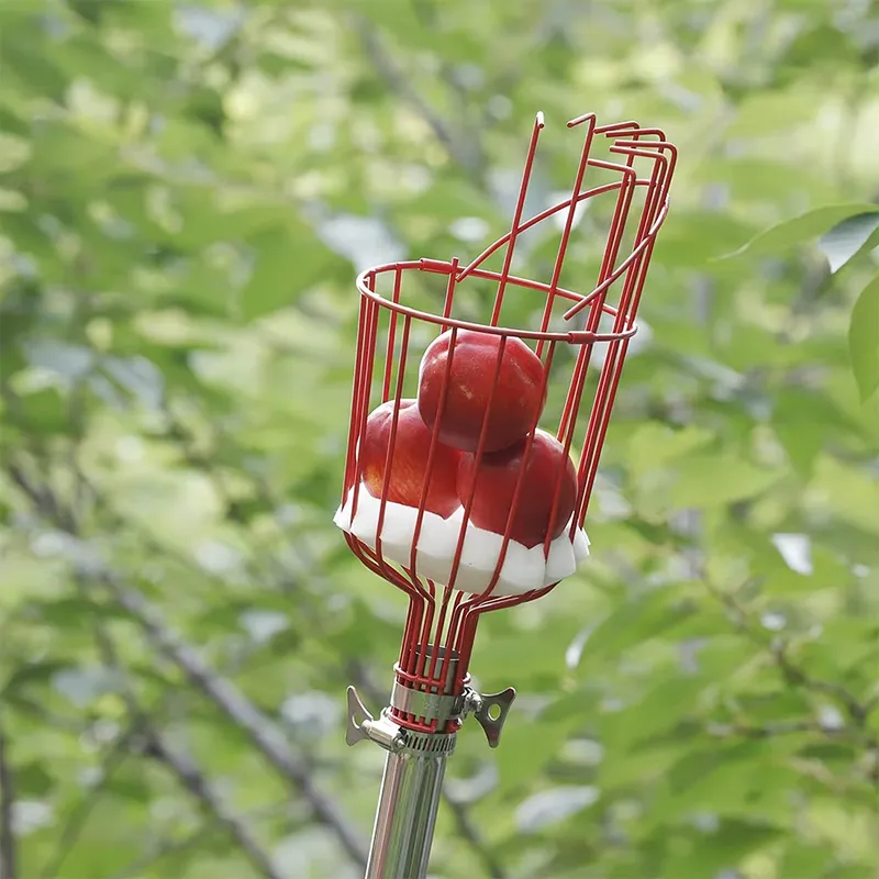 Winslow & Ross Wysokiej jakośc – Fruit Picker Basket Telescopic Pole recenzja i cena