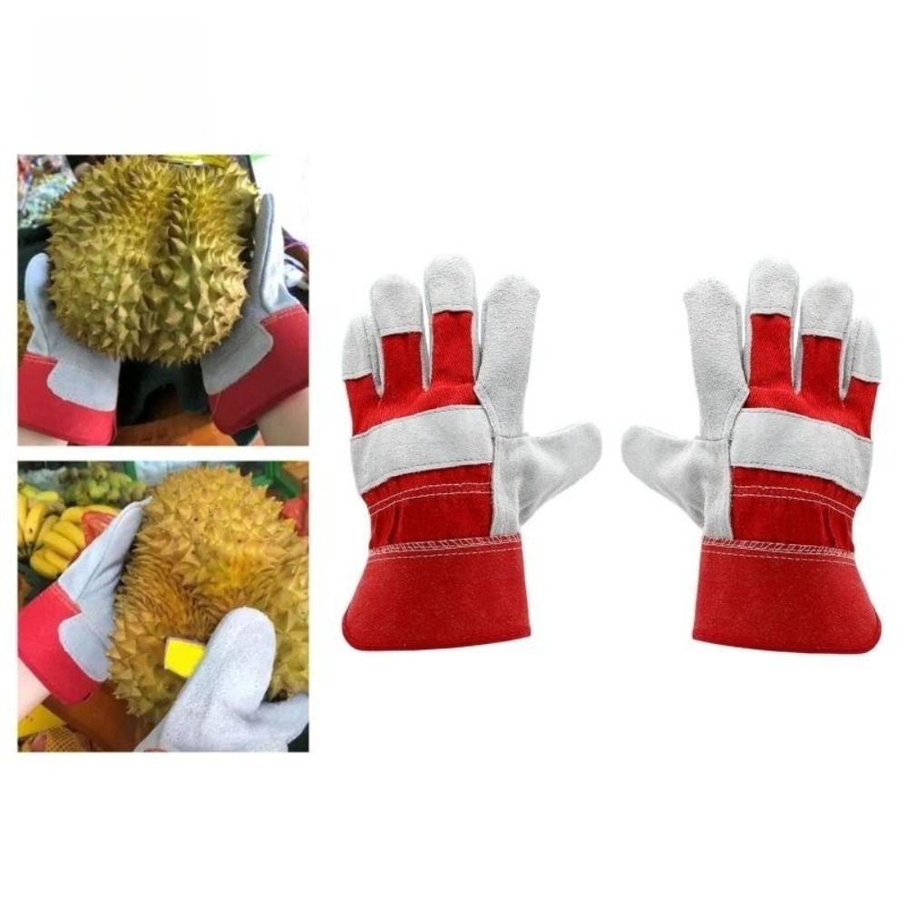 Rękawice ogrodnicze ze skóry b – Gardening Gloves Thorn Proof Leather recenzja i cena
