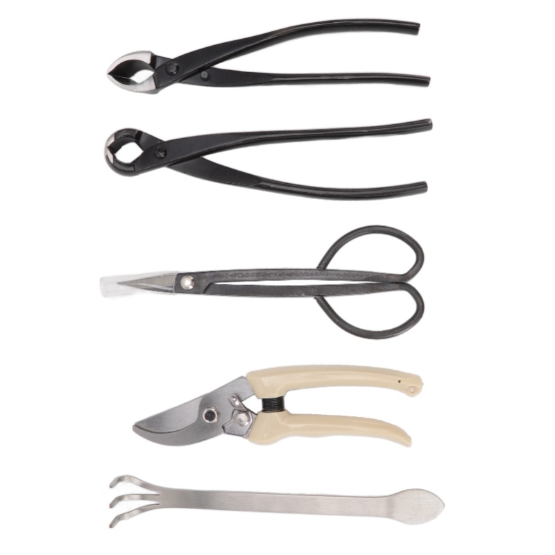 5-częściowy zestaw narzędzi do – Bonsai Tool Set Stainless Carbon Steel recenzja i cena