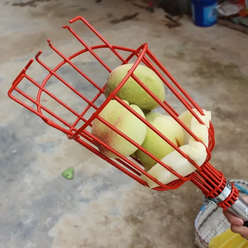 Najnowszy teleskopowy pręt do  – Fruit Picker Basket Telescopic Pole recenzja i cena